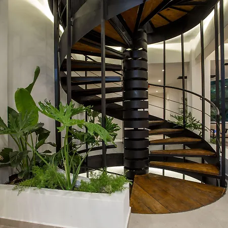 Ladiko -anthony Quinn Bay 3* 팔리라키